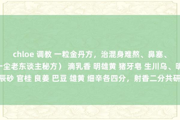 chloe 调教 一粒金丹方，治混身难熬、鼻塞、牙痛等（稳居妙手山野一尘老东谈主秘方） 滴乳香 明雄黄 猪牙皂 生川乌、明月石、上千里香 上辰砂 官桂 良姜 巴豆 雄黄 细辛各四分，射香二分共研末以小红枣肉打和为丸，如黄豆大，每用一粒