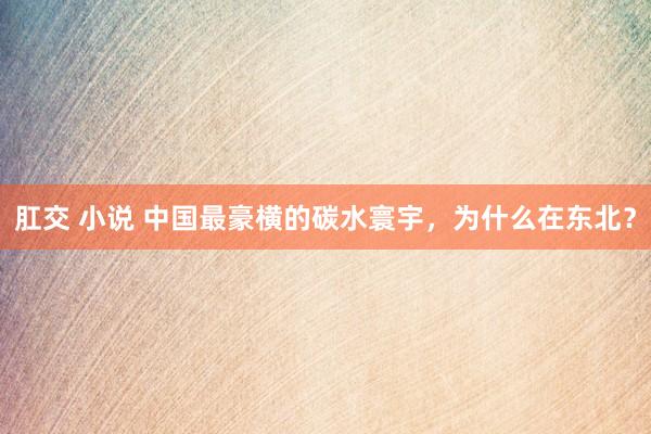 肛交 小说 中国最豪横的碳水寰宇，为什么在东北？