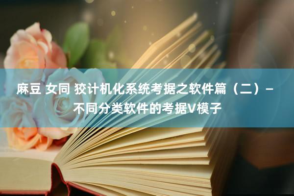 麻豆 女同 狡计机化系统考据之软件篇（二）— 不同分类软件的考据V模子